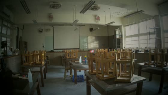 背影